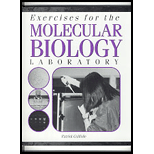 Exercises for the Molecular Biology Laboratory