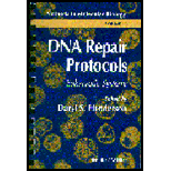 DNA Repair Protocols Eukaryotic Syst.