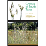 Grasses of South Texas