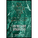 New Testament Introduction