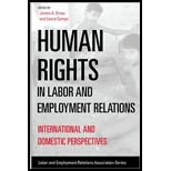 Human Rights in Labor and Employment Relations International and Domestic Perspectives