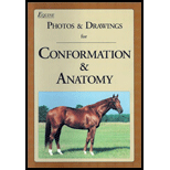 Equine Photos and Drawings for Conformation and Anatomy