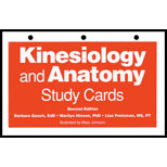 Kinesiology and Anatomy  Study Cards (New Only)