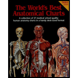 World S Best Anatomical Charts