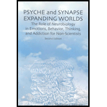 Psyche and Synapse, Expanding Worlds