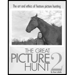 Great Picture Hunt 2