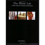 Home Lab Photo Guide for Anatomy Lab Materials