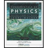 Fundamentals of Physics, Extended Volume 1 (Custom)