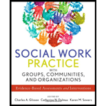 Social Work Practice with Groups, Communities, and Organizations  Evidence Based Assessments and Interventions