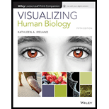 Visualizing Human Biology (Looseleaf) - Print Companion by Kathleen A. Ireland - ISBN 9781119398158