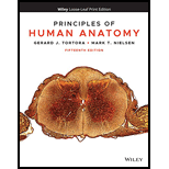 Principles of Human Anatomy Looseleaf 15TH 21 Edition, by Gerard J Tortora and Mark T Nielsen - ISBN 9781119662761