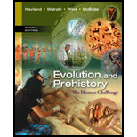 Evolution and Prehistory Human (Looseleaf)