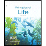 Principles of Life Looseleaf 3RD 19 Edition, by David M Hillis David E Sadava Richard W Hill and Mary V Price - ISBN 9781319249397