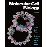 Molecular Cell Biology Looseleaf 9TH 21 Edition, by Harvey Lodish - ISBN 9781319365493