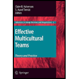 Effective Multicultural Teams