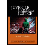 Juvenile Crime and Justice