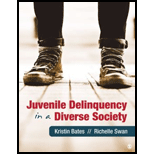 Juvenile Delinquency in a Diverse Society