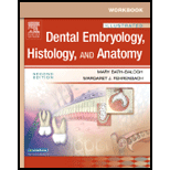 Workbook for Illustrated Dental Embryology, Histology and Anatomy