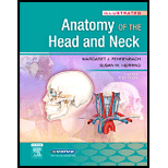 Illustrated Anatomy of the Head and Neck  Illustrated Dental Embryology