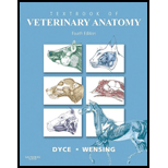 Textbook of Veterinary Anatomy