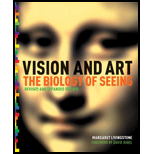 Vision and Art  Biology of Seeing