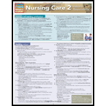 Nursing Care 2: Ethics and Responsibility by Inc. BarCharts - ISBN 9781423208600