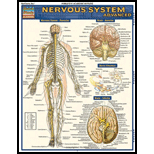 Nervous System Advanced by Inc. Barcharts - ISBN 9781423215066