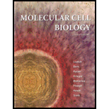 Molecular Cell Biology - Text Only 7th edition (9781429234139