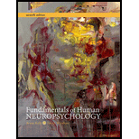 cover of Fundamentals of Human Neuropsychology (7th edition)