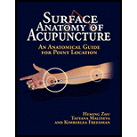 Surgace Anatomy of Acupuncture