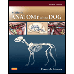 Millers Anatomy of the Dog