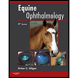 Equine Ophthalmology