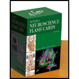 Netters Neuroscience Flash Cards