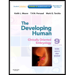 Developing Human