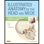 Illustrated Anatomy of Head and Neck