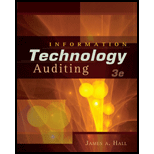 Information Technology Auditing   With CD