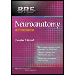 Neuroanatomy