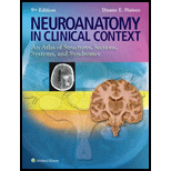 Neuroanatomy In Clinical Context