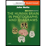 Human Brain in Photographs and Diagrams   With Access