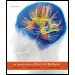 cover of Introduction to Brain and Behavior (5th edition)