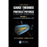 Gauge Theories in Particle Physics, Volume 1