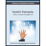 Social E Enterprise