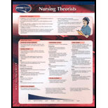 Nursing Theorists Chart Size: 2 Panel by Permacharts - ISBN 9781550805581