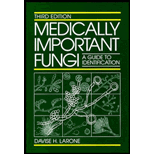 Medically Important Fungi  A Guide to Identification