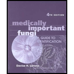 Medically Important Fungi  A Guide to Identification