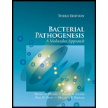 Bacterial Pathogenesis A Molecular Approach