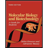 Molecular Biology and Biotechnology