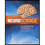 Quick Reference Neuroscience for Rehabilitation Professionals  The Essential Neurological Principles Underlying Rehabilitation Professionals