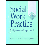 Social Work Practice : A Systems Approach - Benyamin Chetkow-Yanoov