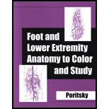 Foot and Lower Extremity Anatomy Study